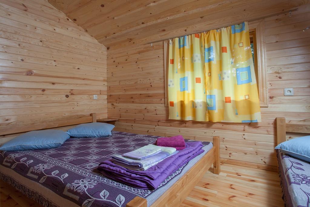 Atputas Komplekss Godeli Usma Cameră foto